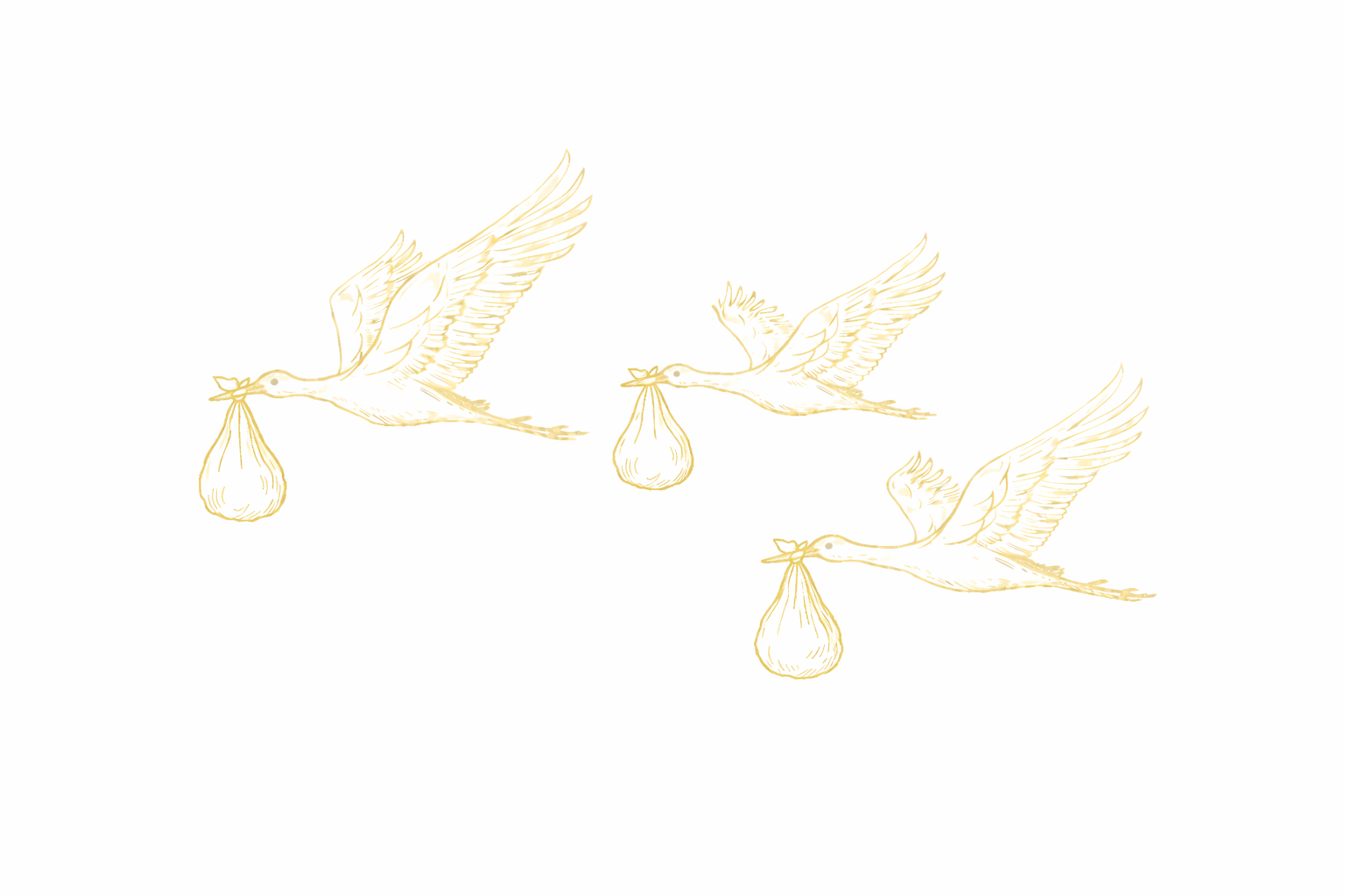 When pregnancy isn’t all about excitement, but orientation