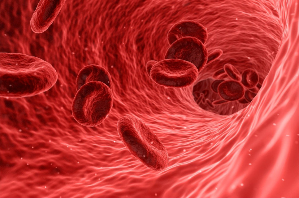 Astrology as Inner Architecture