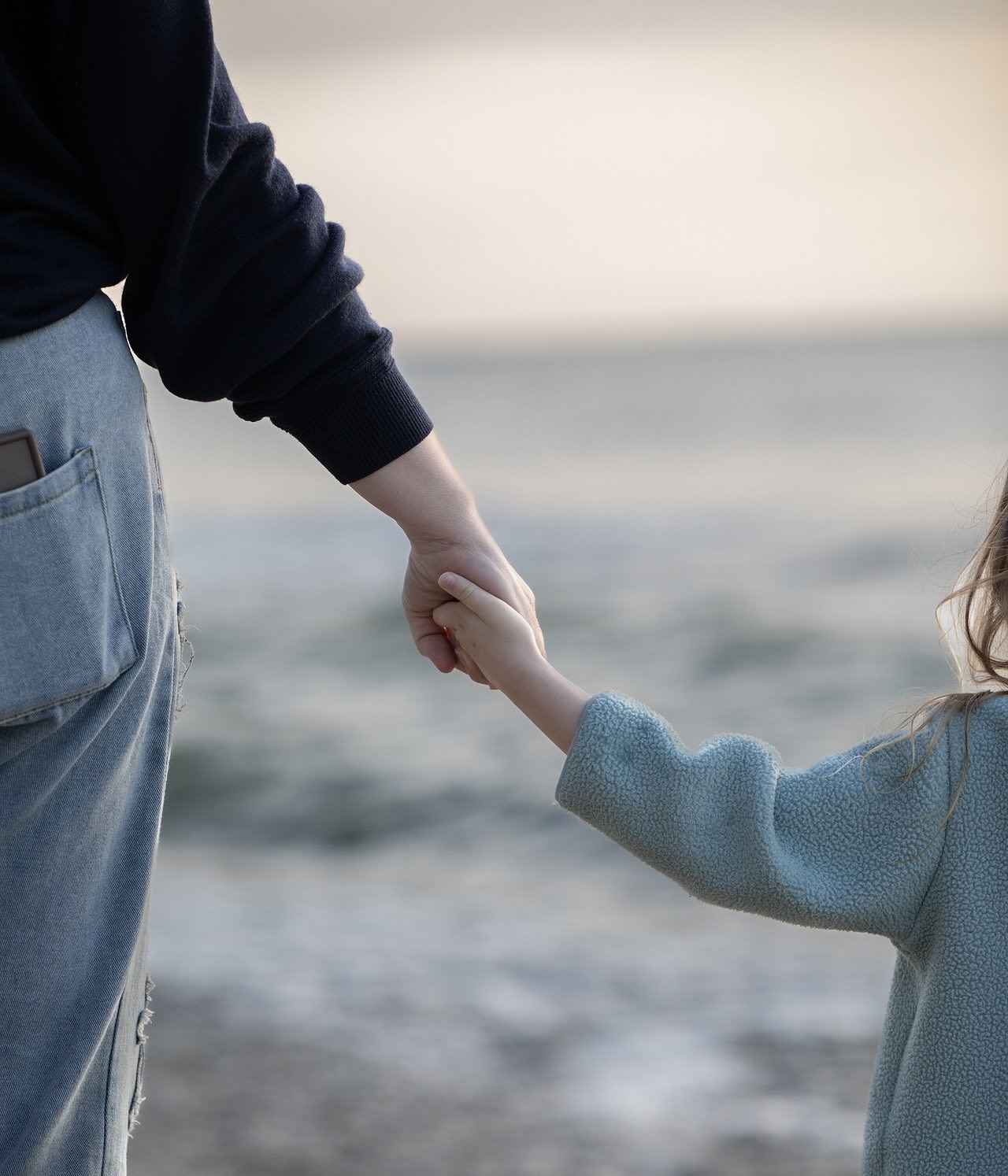 No prior knowledge required